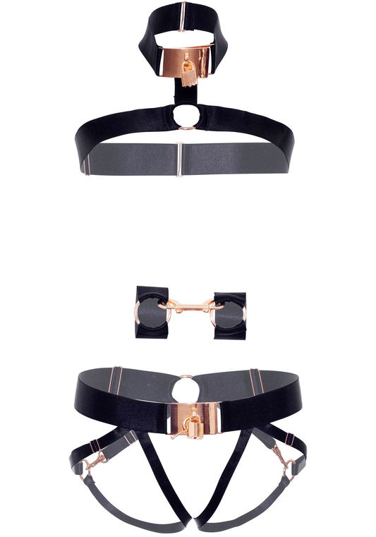 Under Lock n' Key Harness Set