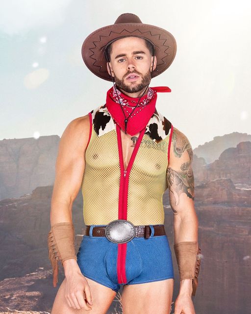 4pc Playful Sheriff Men's Costume