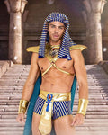 King Pharaoh of Egypt Costume