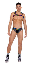 Men's Briefs with Fishnet Panel