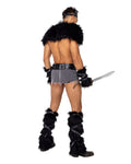 Men's Viking Hunk Costume