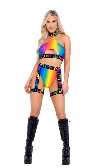 6139 - Rainbow High-Waisted Shorts